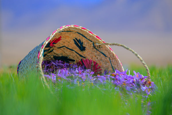 The Science Behind Saffron: Unlocking the Benefits for Your Skin