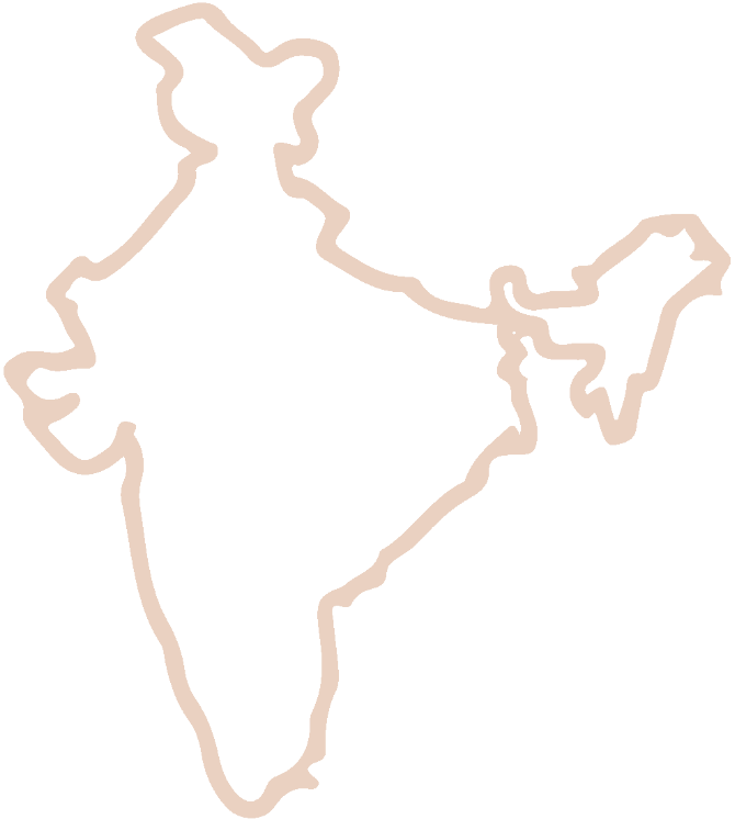 Icon representing the map of India