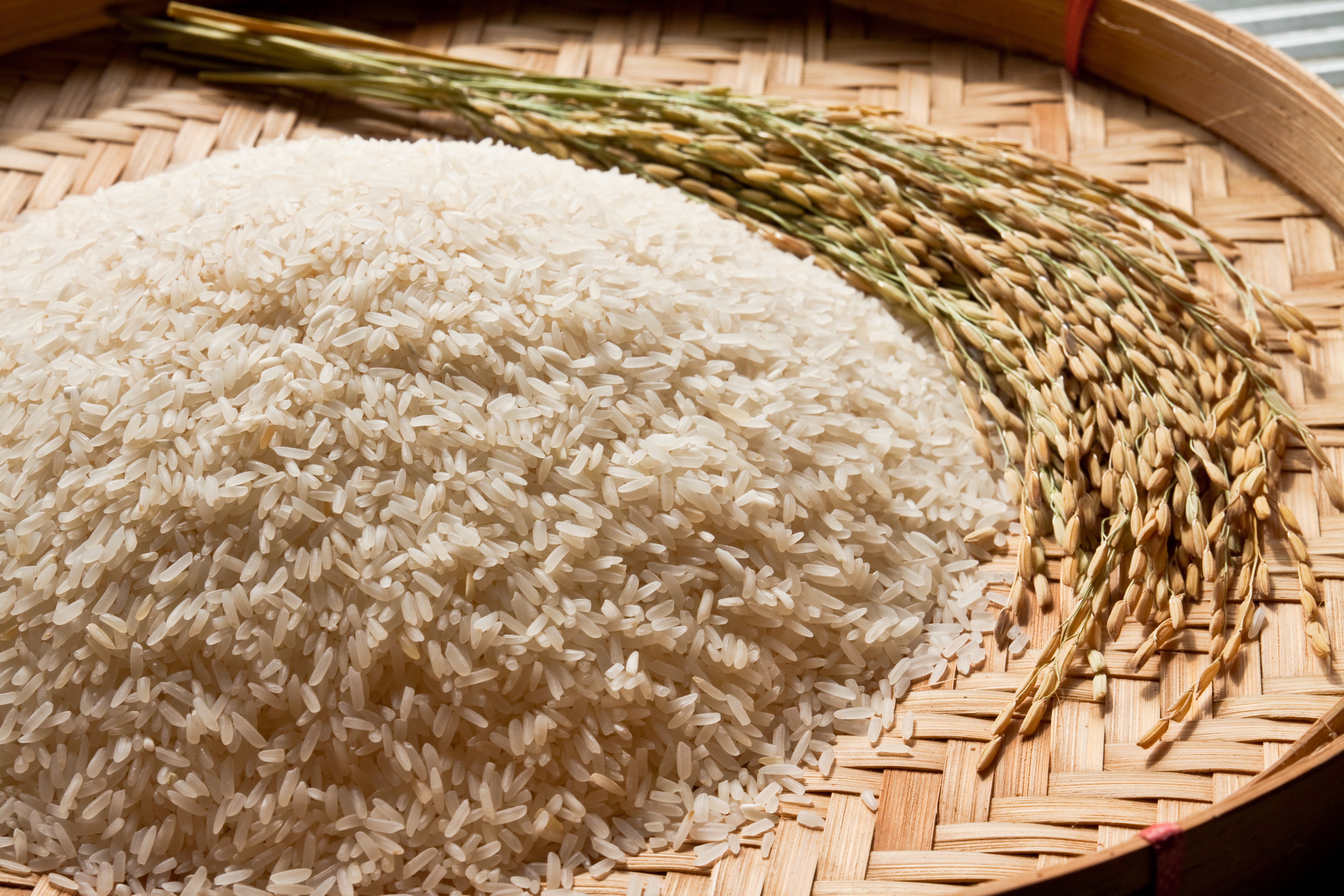 Rice Water Extract